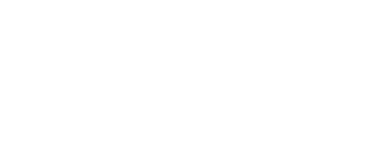 Mailerlite Logo White